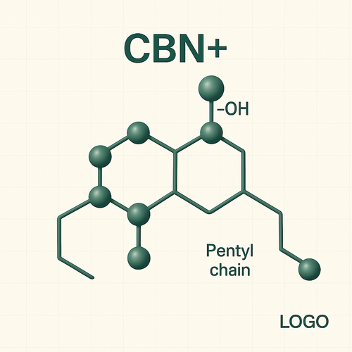 CBN+