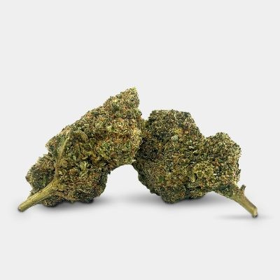 30%OH-HHC Early Girl