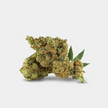 Fleurs Révuelto 40% Thcv-n10